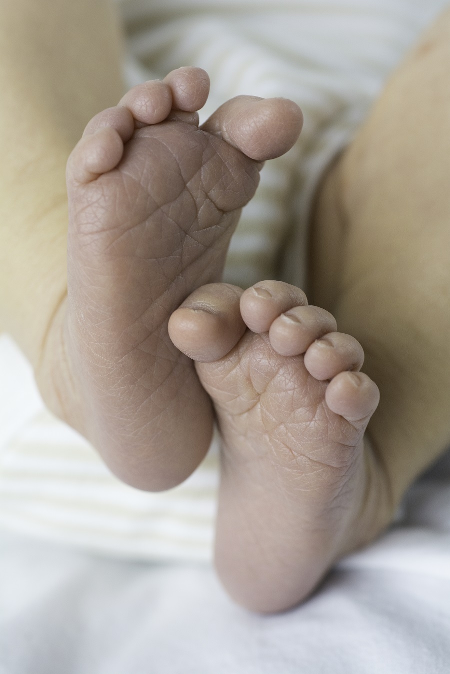 כפות הרגליים של התינוקת החדשה