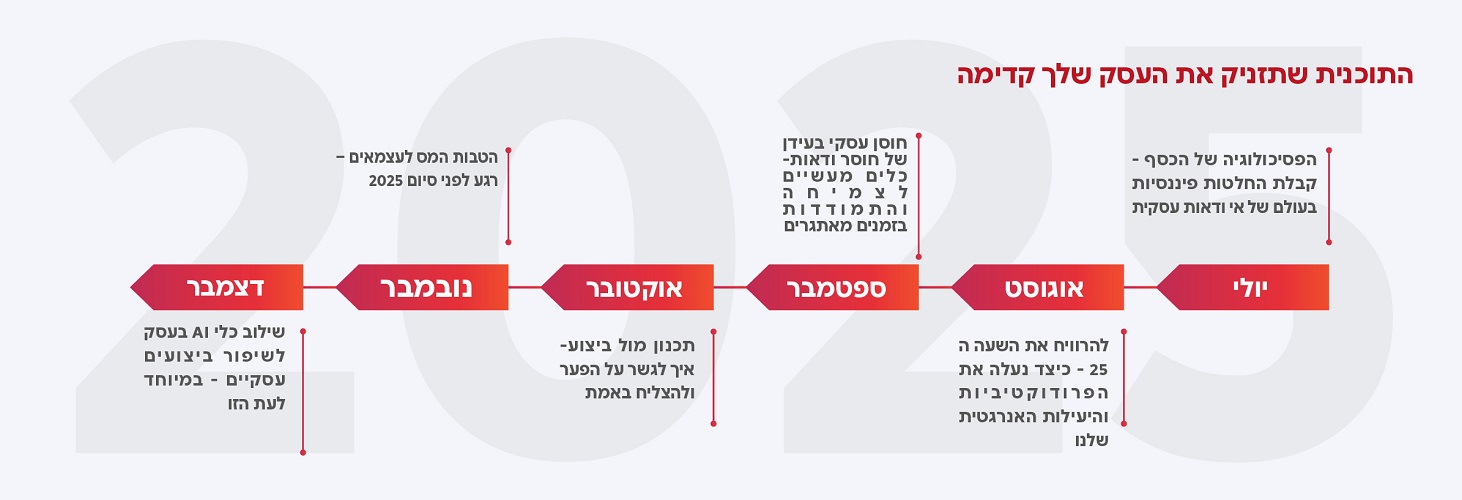 תוכנית ליווי