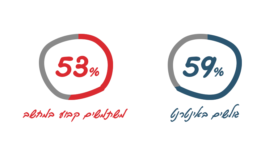 59% גולשים באינטרנט 53% משתמשים קבוע במחשב